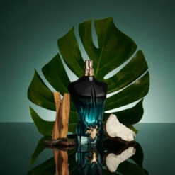 Jean Paul Gaultier Le Beau Le Parfum Eau De Parfum Intense 125 Ml -Parfumwelt 1416669 Jean Paul Gaultier Le Beau Le Parfum Eau de Parfum Intense 125 ml.32fc2812