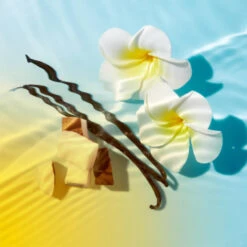 NUXE Sun Set Spray Solaire Délicieux 50 SPF -Parfumwelt 2543389 NUXE Sun Set Spray Solaire Delicieux 50 SPF.26804d92