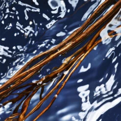 DAVIDOFF Cool Water Man Oceanic Edition Eau De Toilette Limited Edition 125 Ml -Parfumwelt 2551926 DAVIDOFF Cool Water Man Oceanic Edition Eau de Toilette Limited Edition 125 ml.38ef08b2